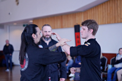 DSC00910_forwebsite