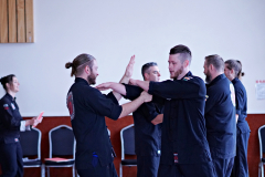 DSC01096_forwebsite