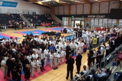 260 competitors at the 2017 Australian National All Styles Championships held in Sydney. A great mix of styles competing in a respectful environment. Wing Chun doesn’t always translate well into a rules based sports environment but other styles have adapted and so can we if we choose to; so long as competition does not become our primary focus