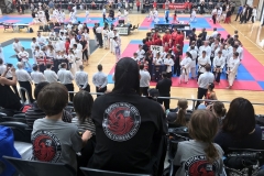 Watching the Victorian contingent walk-in
