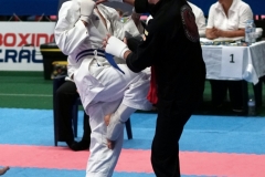 What not to do in a tournament - unfortunately instinctive strikes like the bil / biu, even not aimed at the eyes or throat are a red card. 
National All Styles Round 1 2018