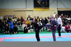 DSC00342_small