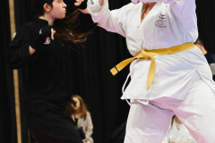 DSC_2097_small