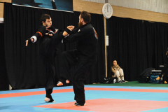 DSC_2176_small