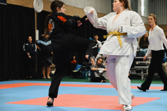 DSC_2254_small