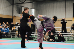 DSC_2384_small