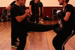 Wing-Chun2-270